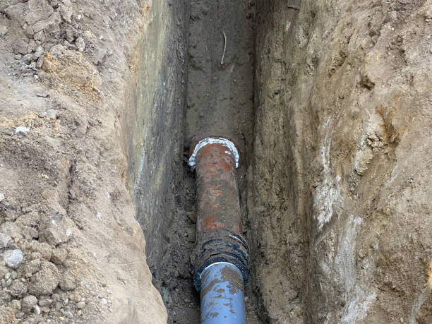 Best 24/7 water damage repair  in Dalhart, TX