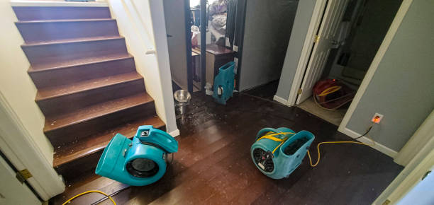 Best Basement water damage restoration  in Dalhart, TX
