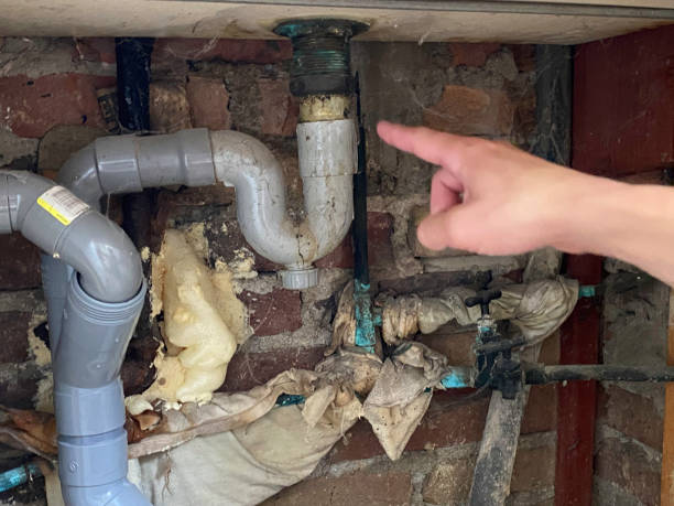 Best 24-hour water damage restoration  in Dalhart, TX
