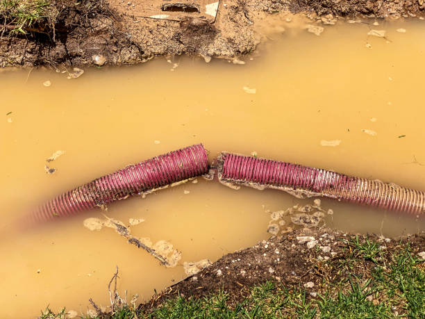 Reliable Dalhart, TX Water damage restoration Solutions